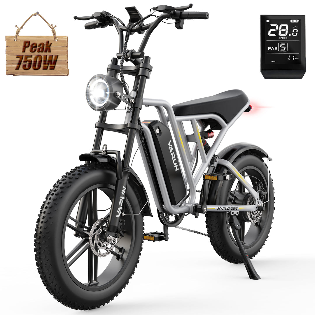 VARUN 2005 |  All-Terrain Fat Tire E-Bike