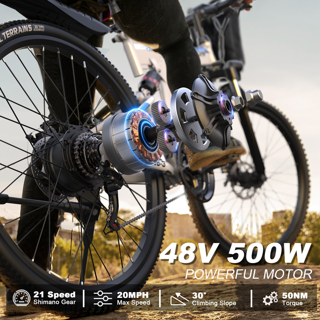 VARUN 2609丨Folding Electric Bike