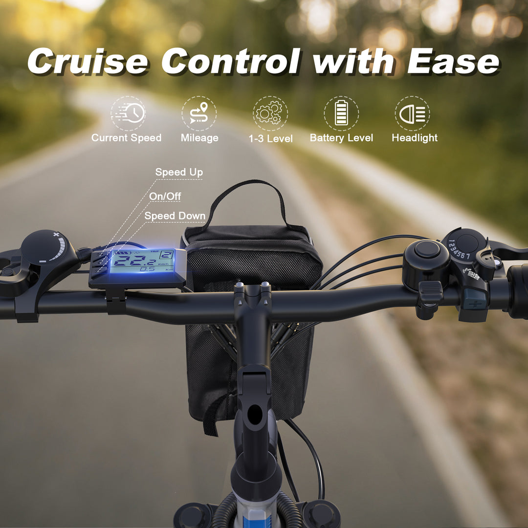 VARUN 2609丨Folding Electric Bike