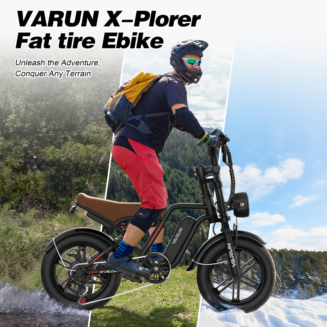 VARUN 2005 |  All-Terrain Fat Tire E-Bike
